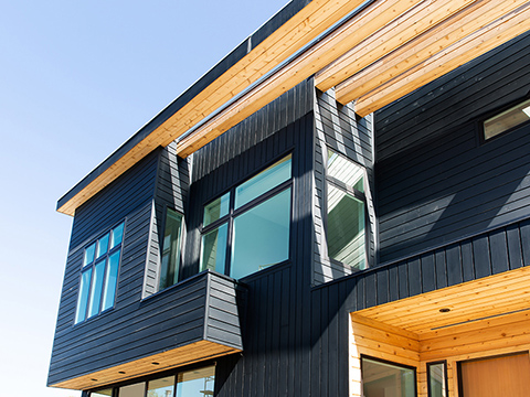 black stained cedar cladding